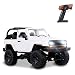 Moerc Auto di Controllo remoto per di 6-12 Anni 1/14 RC Car 2.4GHz Radio per Outdoor Radio Personale Persone per per Giochi Giochi ANDICANTI E (Dimensione : 3 Battery Packs)
