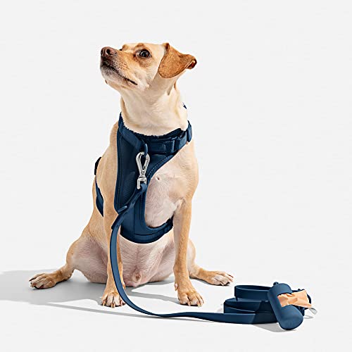 Wild One Harness 2.0 - Medium - Blue