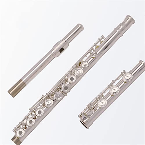 KLKL Silver Plated Flute 17 Keys Open Holes B Foot Italian Pads with Case Student Flute
