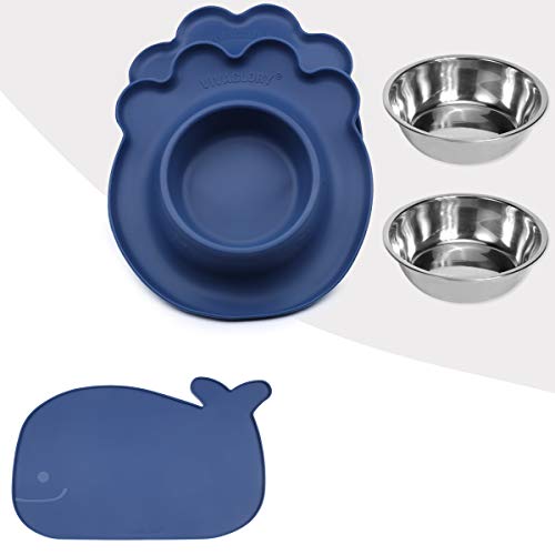 Vivaglory Pet Feeding Mat and Bowl Set with Mat for Cats Puppy or Small Sized Dog