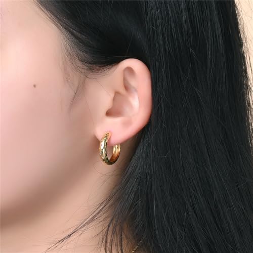 Cycuff 925 Sterling Silver Hoop Earrings Colorful Cubic Zirconia Jewelry Earrings for Women Set Earring Gifts for Her3