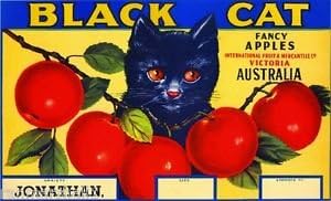 Magnet Victoria Australia Black Cat Kitten Apple Fruit Crate Magnet Art Print