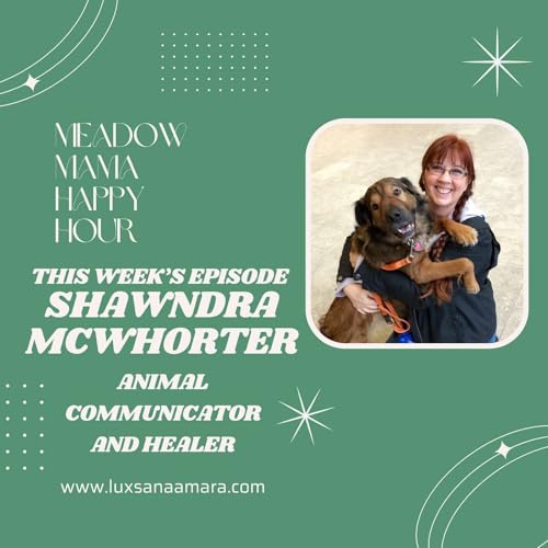 Opening Our Hearts to Communication with Animals with Healer and Communicator Shawndra McWhorter