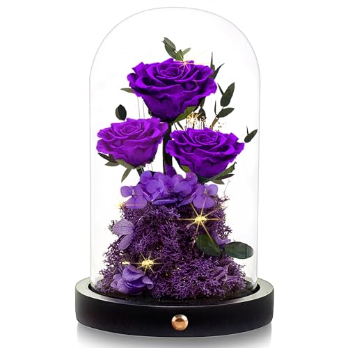 Flowers Roses Gifts for MomForever Real Preserved Roses in Glass DomeMothers Day for Wife Girlfriend Women Best Friend GrandmaPurple Rose