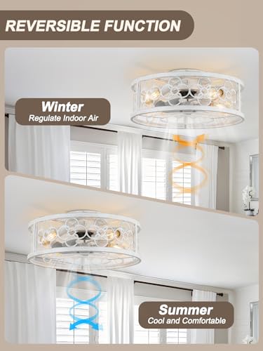 Image of Caged Ceiling Fan with Lights and Remote