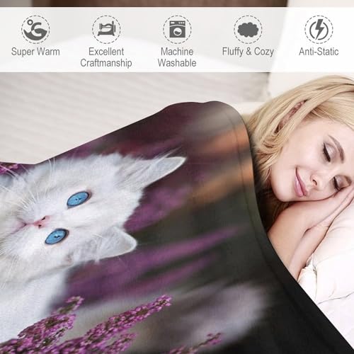 Couvertures polaires en chaton mignon, le cadeau parfait - 4