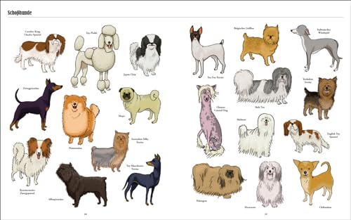 Große Hunde, kleine Hunde: Alle Hunde dieser Welt. Über 250 Hunderassen aus aller Welt