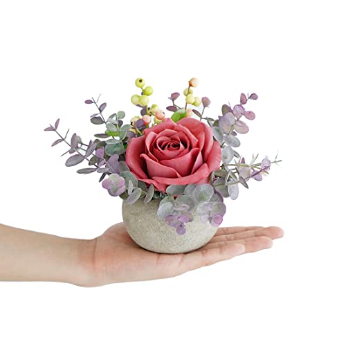 Rosscer Artificial Flowers Kit With Pot, Combination Of Fake Silk Pink Roses And Greenery,Small Plant Potted Decor For Offices,Bookshelf,Bedroom, Living Room,Party,Wedding Decorations… #TOP1