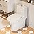 DeerValley Symmetry One Piece Toilet, Dual Flush 1.1/1.6 GPF Elongated Standard Toilet for Bathroom, Toilets with Comfortable Seat Height (Seat Included) (White)