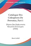  Catalogue Des Coleopteres De Provence, Part 1: D\'Apres Des Dodcuments Recueillis Et Groupes (1908)