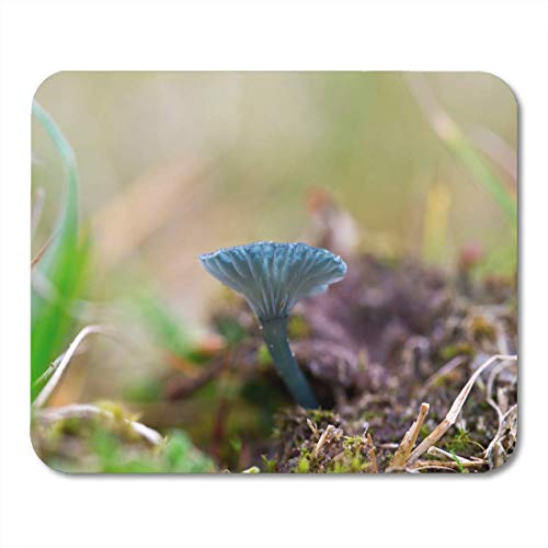 Preisvergleich Produktbild Mauspads Agaricus Der blaugrüne Verdigris-Nabelpilz Arrhenia Chlorocyanea Mauspad für Notebooks, Desktop-Computer-Matten Büromaterial