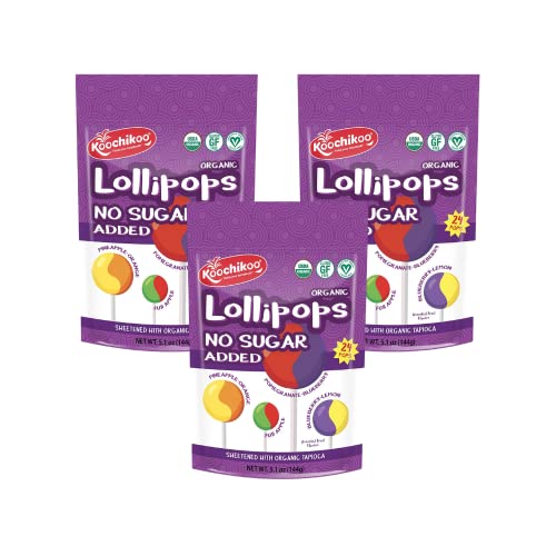 Koochikoo Organic & Sugar Free Lollipops Pouch, Assorted Fruit Flavors, No Sugar Added, Gluten Free, Certified Vegan (24 Count (Pack Of 3)) #TOP13