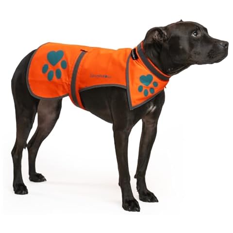 SafetyPUP XD Blaze Orange, Reflective Dog Vest & Bandana (Medium). Safety Gear to Help Prevent Hunting & Motorist Accidents. Cover