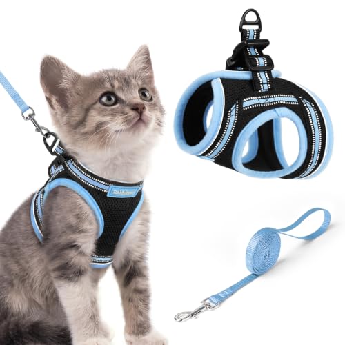 Image of rabbitgoo Cat Harness and Leash Set, Step-in Soft Vest, Black & Light Blue | Escape Proof, Lightweight, Easy-on & Adjustable, Hook & Loop with Buckle, Reflective, for Kittens & Small Cats Walks, S