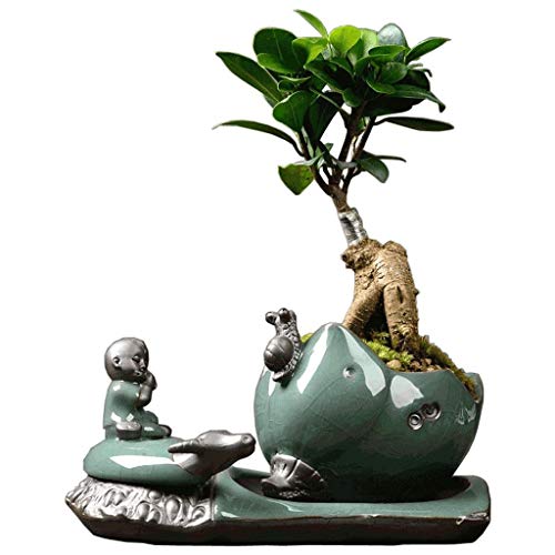 🥇 Pflanzengefäße & Gefäßzubehör günstig online kaufen ShoppingFever