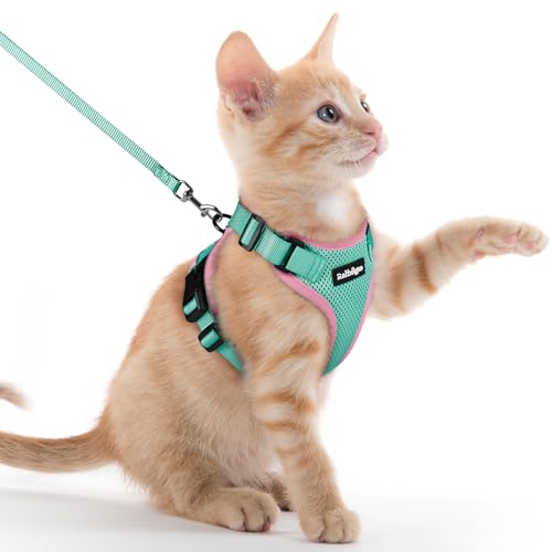 Image of rabbitgoo Cat Harness and Leash Set, Escape Proof Vest, Green & Pink | Soft Breathable Mesh, Easy Adjustable Fit, Snap Buckles, Sturdy Clip, Reflective Strips, for Kittens & Small Cats Walks, Xxs