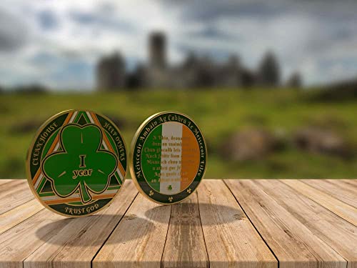 Green Shamrock Recovery Medallion In Years 1-50 Serenity Prayer In Gaelic On Rear (Year 1) #TOP2