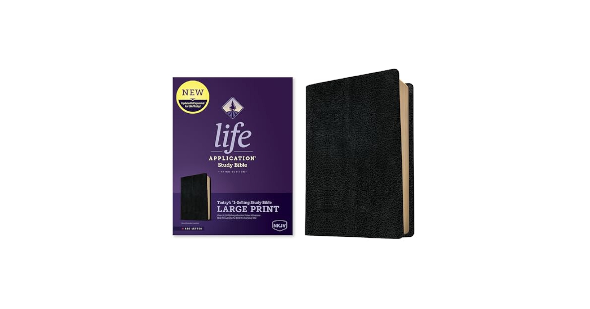 洋書 Student Life Application Study Bible NLT Student Life Application Study Bible, Filament Enabled