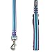Blueberry Pet Reflective Dog Leash with 3M Safety Stripes, Soft Padded Handle, Strong Nylon Training Lead – Violet & River Blue, Size Medium