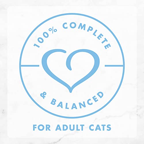 Fancy Feast Purina Pate Wet Cat Food, Creamy Delights Chicken Feast with a Touch of Real Milk - 3 oz. Can (Pack of 12)