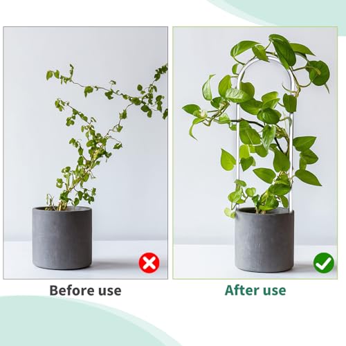 2 Pack Thickened U-Shaped Acrylic Trellis for Indoor Plants, Small Clear Plant Trellis for Potted Plants Climbing Plant Trelli Garden Accessories for Indoor Outdoor Potted Houseplants - Thumbnail 7