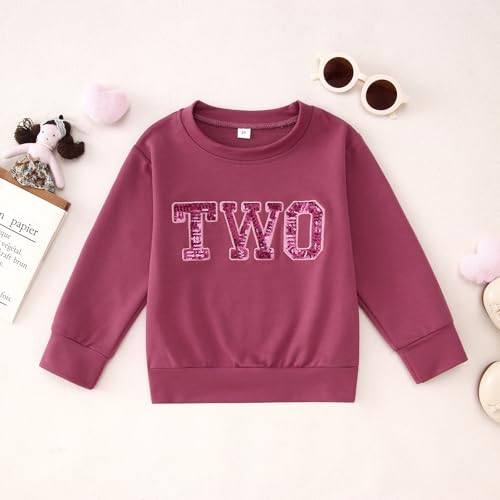 Baby Mädchen Geburtstag Sweatshirt Schwester Kinder Outfits Glitzer Stickerei Pullover 2-9 Jahre Geburtstagparty Kostüm Autumn Langarm Babykleidung Rundhals Langarmshirt(Dunkelrosa,2 Jahre)