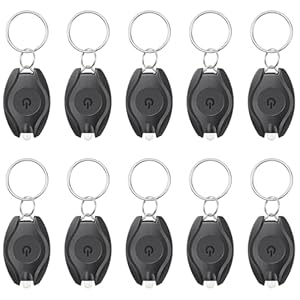 Pawfly 10 Stück LED Schlüsselanhänger Taschenlampen