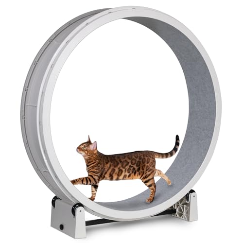 Image of One Fast Cat - Cat Exercise Wheel - Gen. 7 - Safe 48 inch Diameter - Made in The USA - White Wheel with Gray Felt Traction Pads and Light-Up LED Inline Wheels