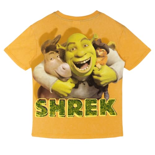 Image of DreamWorks Shrek Matching Family Short Sleeve T-Shirt