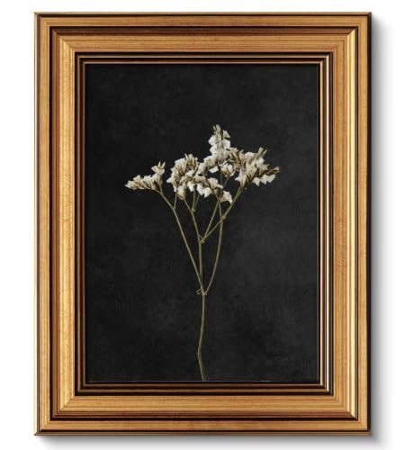Image of NALEPS Dark Dried Floral Framed Wall Art, Moody Flower Wall Decor, 9x11 In | Vintage Gold Framed Wall Art, Victorian Floral Print Artwork, Dried Floral Picture for Bedroom Living Room Home Decoration