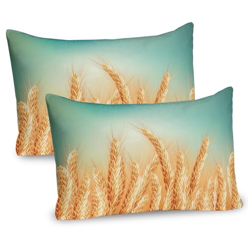 Ambesonne Harvest Pillow Sham Set of 2, Wheat Field and Blue Sky Agriculture Themed Abstract Composition, Quality Microfiber Bedding Item for All Seasons, 30