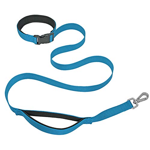 Hands Free Dog Leash Waist Pet Walking Leash Nylon Dogs Running Leads Collar Free Control 2 Handles for Medium Large Dogs Blue M