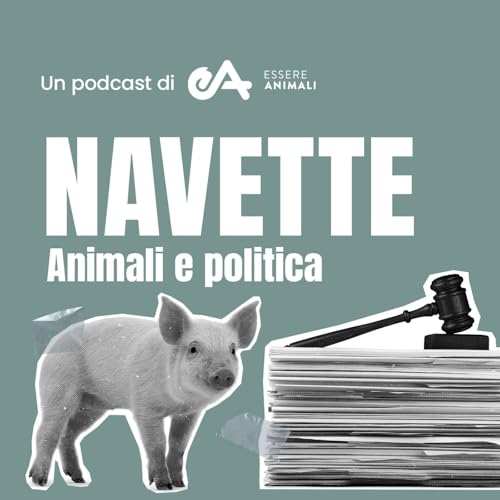 Page de couverture de Navette