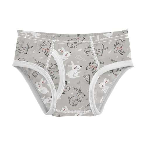 Boys' Exclusive Briefs Toddler Underwear 95% Combed Cotton Boxerbriefs 2T Bunny and Ice - Cream Pattern 73