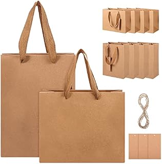 Luxshiny 10pcs Kraft Paper Bags, Brown Gifts Wrapping Bags Brown Lunch Bags with Tags and Hemp Rope, Holiday Party Paper Bags for Birthday Wedding Grocery Gifts