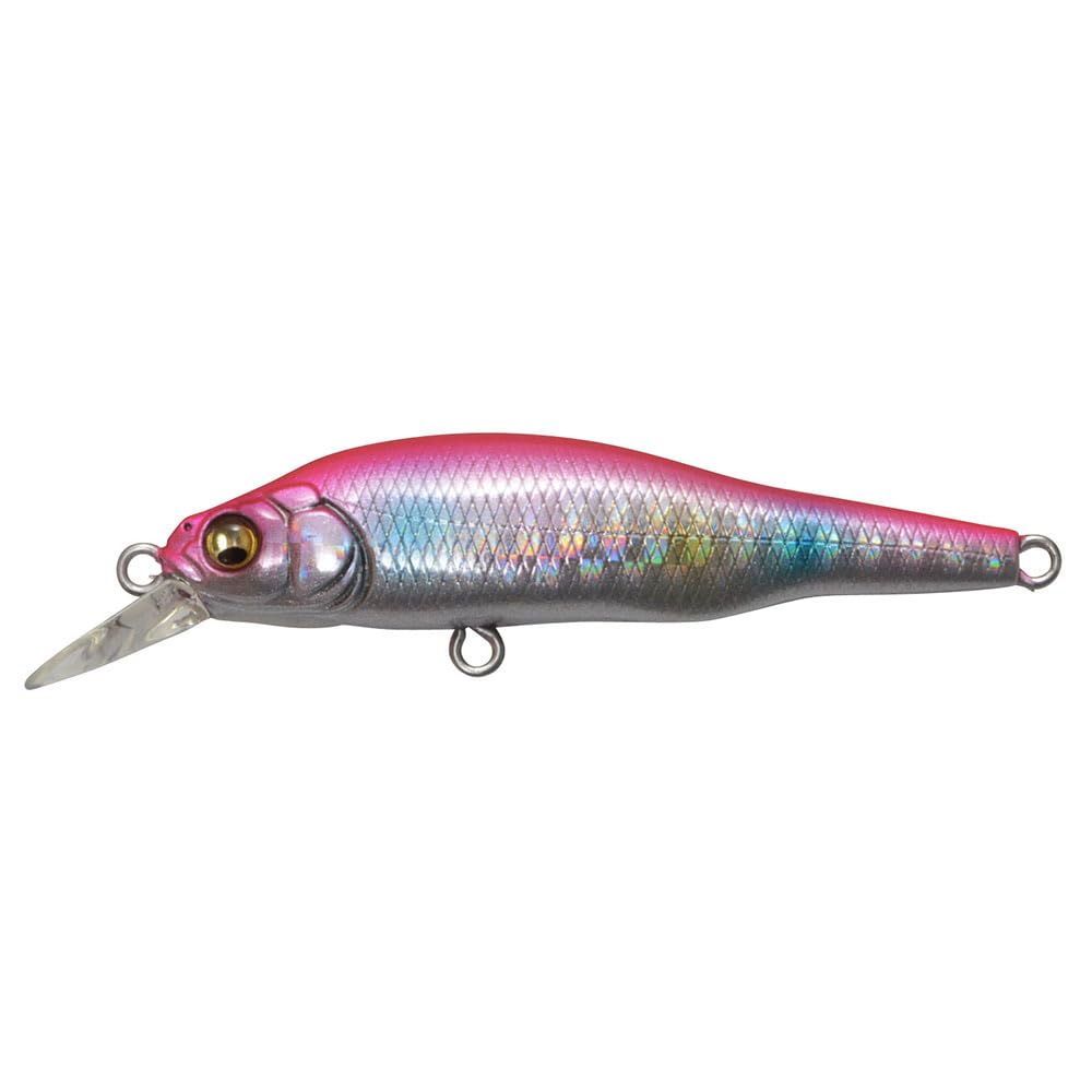 Appât Coulée Lente Bar Maritime Leurre De Pêche Megabass X-80 SW