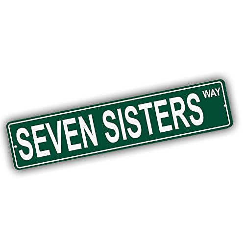 Brotherhood Aluminum Street Sign for Seven Sisters - Nevada Man Cave Decor
