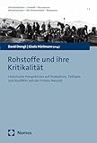 Rohstoffe und ihre Kritikalität: Historische Perspektiven auf Produktion, Teilhabe und Konflikte seit der Frühen Neuzeit