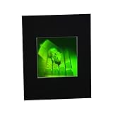 3D Mouse Multi-Channel Hologram Picture (MATTED), Collectible Polaroid Photopolymer Film
