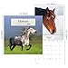 2027 Horses Wall Calendar