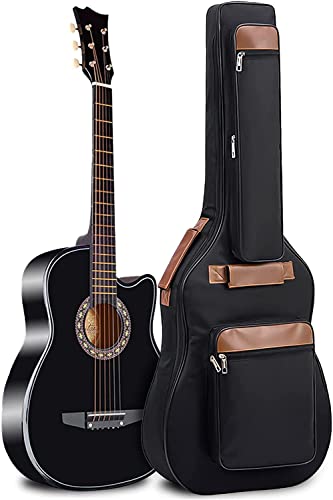 Unique Acoustic Guitar Bag Cover Foam Padded for Havana FA391c 39...