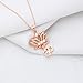 bobauna Yoga Lotus Flower Aum Om Ohm Sanskrit Symbol Pendant Necklace Spiritual Jewelry Gift For Yogi Yoga Lover (Lotus Om necklace RG)