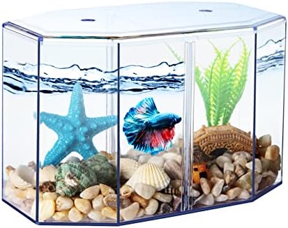 Small Fish Tank - Mini Betta Bow Tank Tiny Aquarium Tank - Include Starfish Decoration & Fish Tank Gravel - 2/5 Gallon Fish Bowl Divided Compartments Beta Fish Tanks for 2 Betas Sea Monkeys