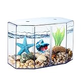 Small Fish Tank - Mini Betta Bow Tank Tiny Aquarium Tank - Include Starfish Decoration & Fish Tank G