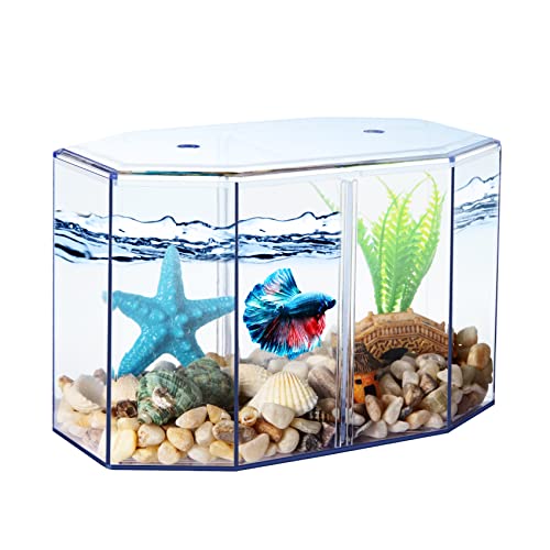 Small Fish Tank - Mini Betta Bow Tank Tiny Aquarium Tank - Include Starfish Decoration & Fish Tank Gravel - 2/5 Gallon Fish Bowl Divided Compartments Beta Fish Tanks For 2 Betas Sea Monkeys #TOP7