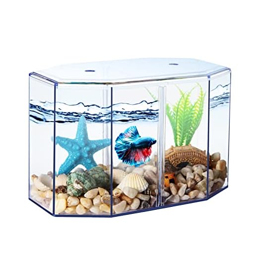 Small Fish Tank - Mini Betta Bow Tank Tiny Aquarium Tank - Include Starfish Decoration & Fish Tank Gravel - 2/5 Gallon Fish Bowl Divided Compartments Beta Fish Tanks for 2 Betas Sea Monkeys