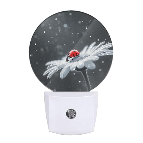 Image of Night Light Ladybug on White Daisy Flowers Dusk to Dawn Plug-in Nightlight Auto Sensor for Bedroom Bathroom Hallway Living Room