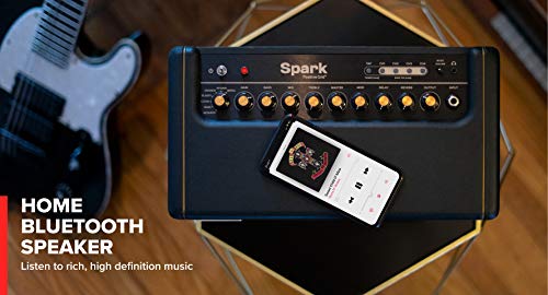 Positive Grid Positive Grid Spark