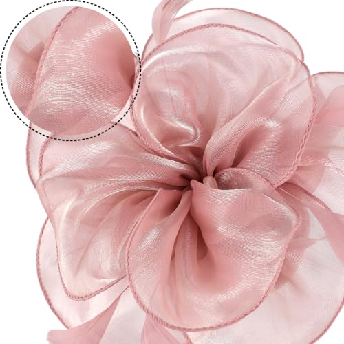 Image of DRESHOW Fascinators Hat Tea Party Headwear Ribbons Feathers on a Headband and a Clip for Women