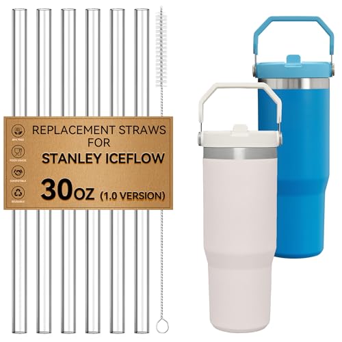 Pailles pour Stanley IceFlow 30 oz Flip Straw Tumblers